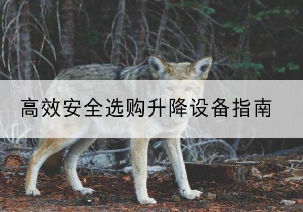东山升降货梯厂家推荐-*安全选购升降设备指南