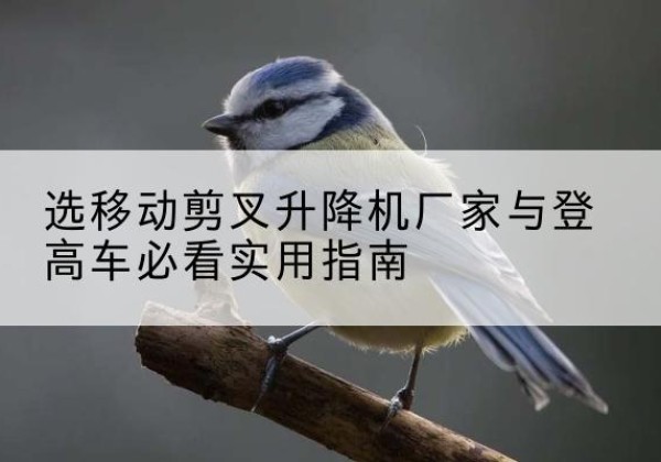 东山电动升降机厂家-选移动剪叉升降机厂家与登高车必看实用指南